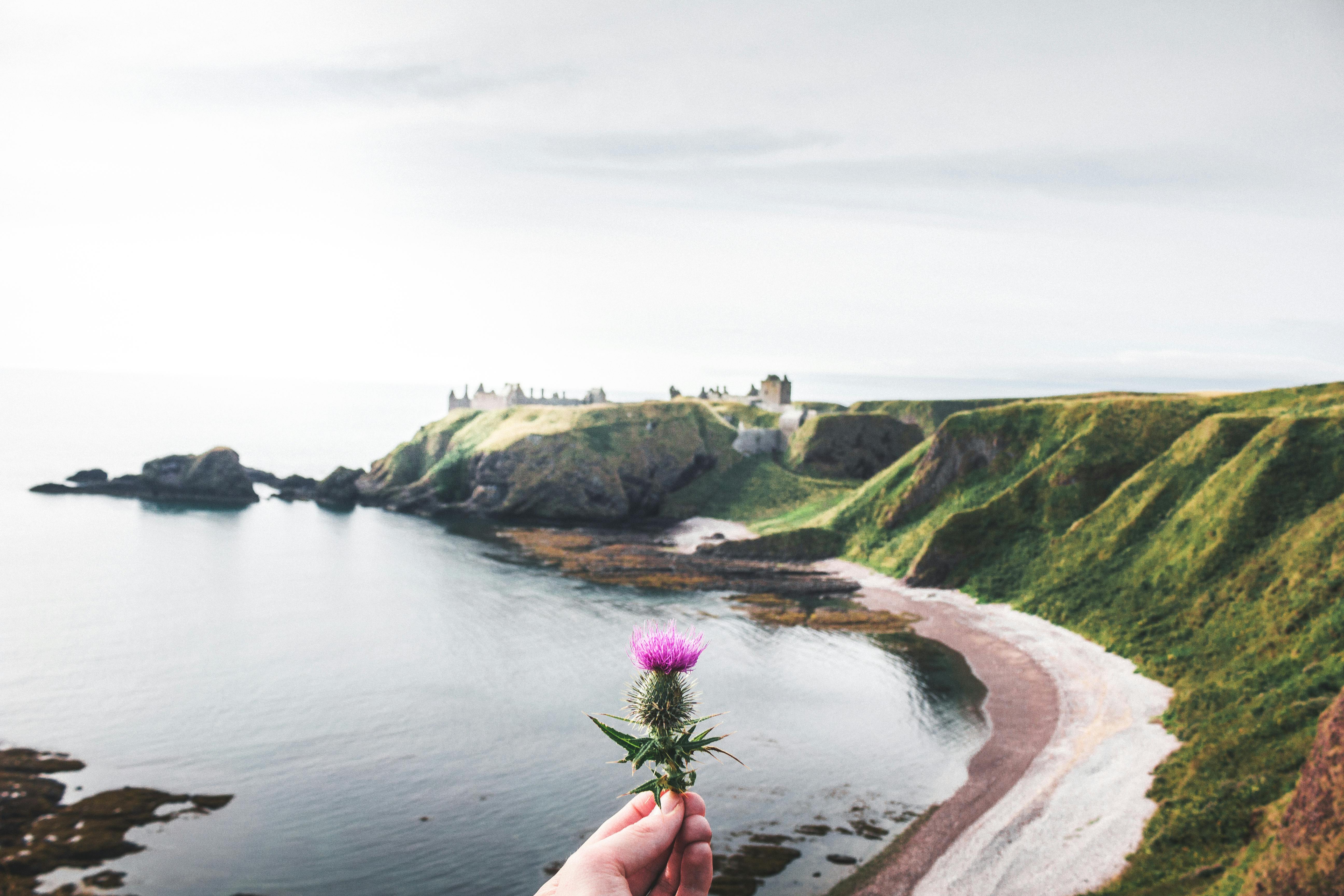 scotland's rocky cliffs